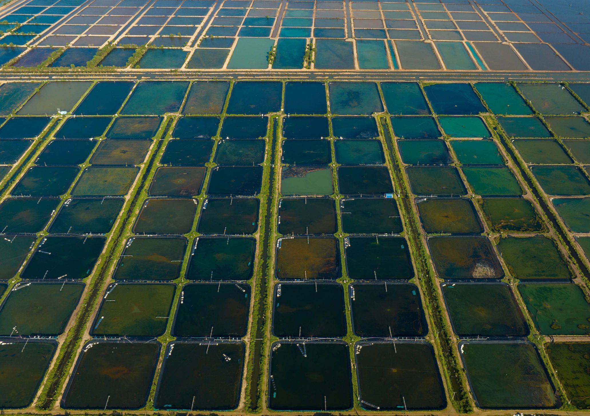 Aerial view of aquaculture ponds